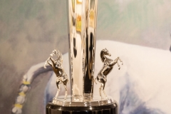 Gauntlet-of-Polo-Trophy