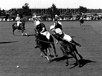 The origins and history of Polo