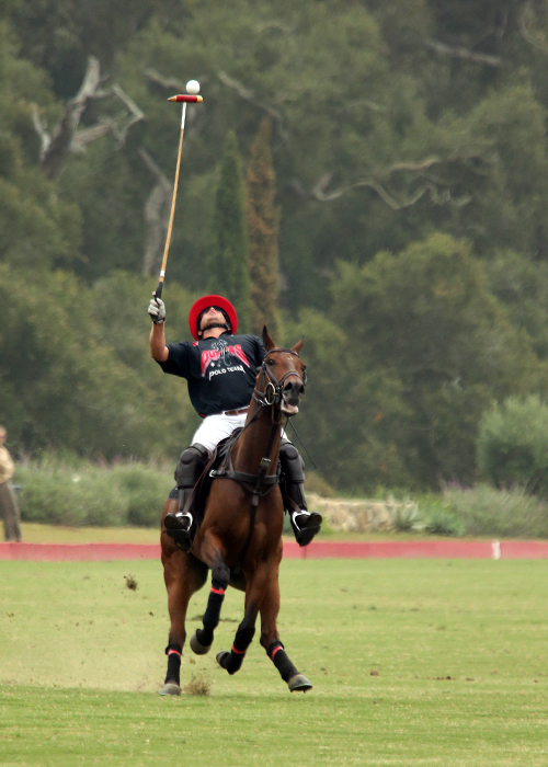 Farmers and Merchants Bank Silver Cup - Hurlingham Polo