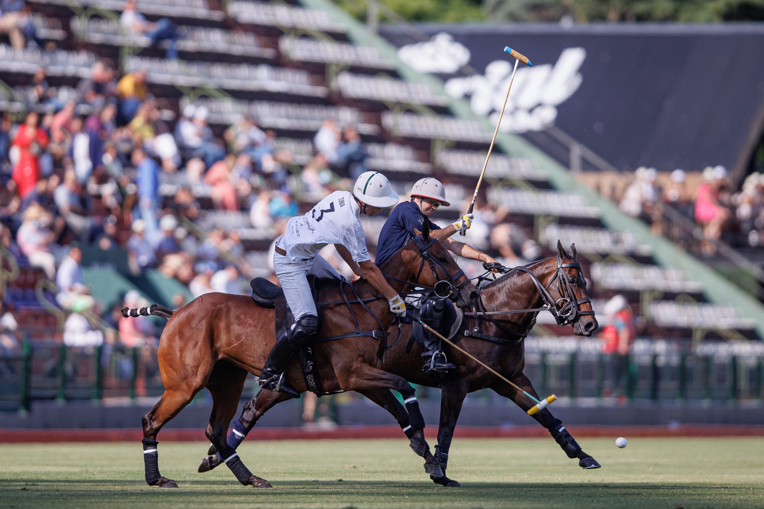 Argentine Open Nov 20 Hurlingham Polo