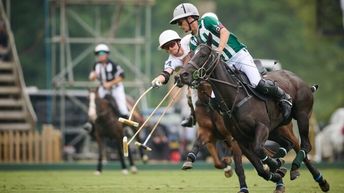 Polo