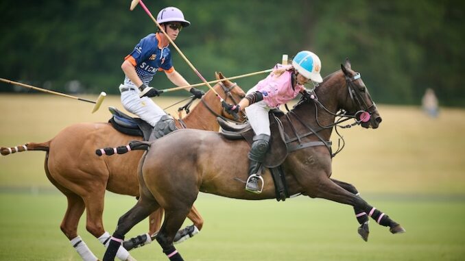 Polo