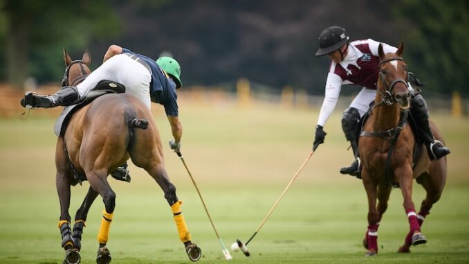 Polo