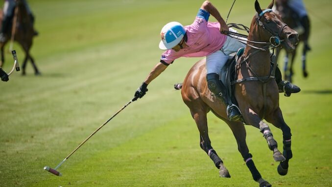 Polo