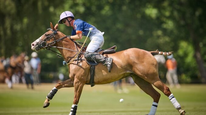 Polo