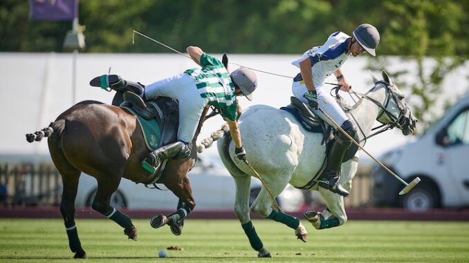 Polo