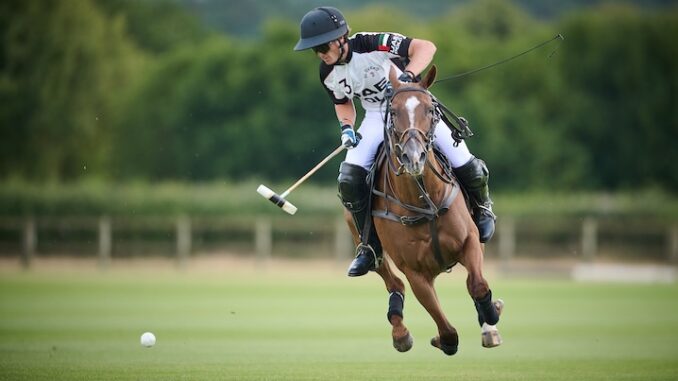 Polo