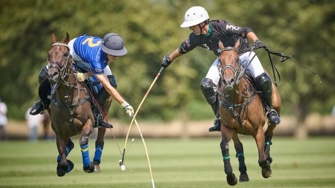 Polo
